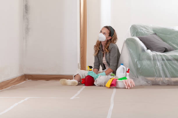 Reliable Mold Remediation contractor in Bordentown, NJ by Cheap Mold Removal